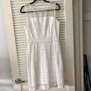 Donna Ricco white lacey dress
